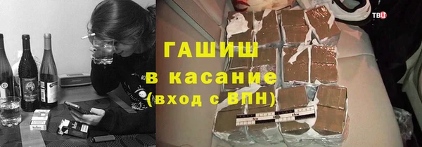 прущие грибы Богданович