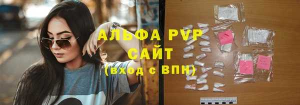 прущие грибы Богданович