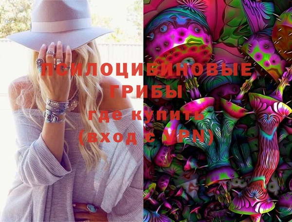 хмурый Богородск
