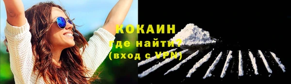 хмурый Богородск