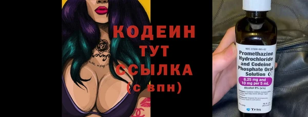 хмурый Богородск