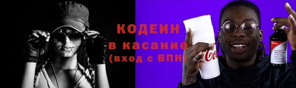 прущие грибы Богданович