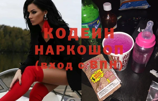 прущие грибы Богданович