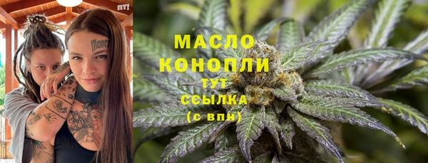 прущие грибы Богданович