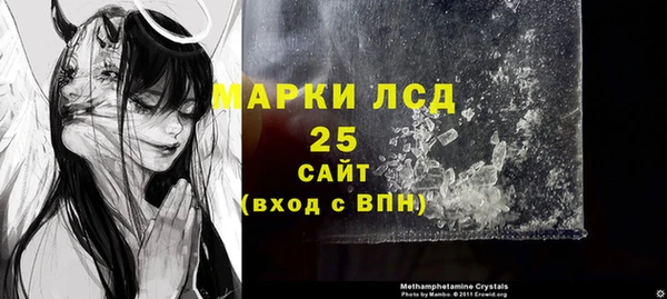 прущие грибы Богданович
