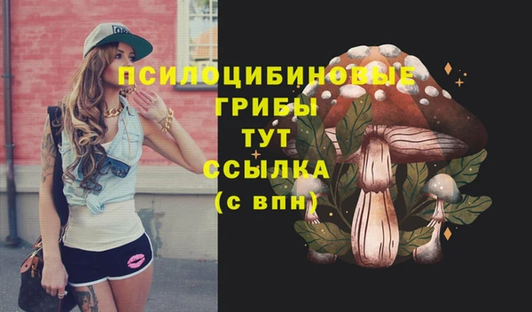 хмурый Богородск
