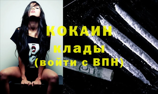 прущие грибы Богданович