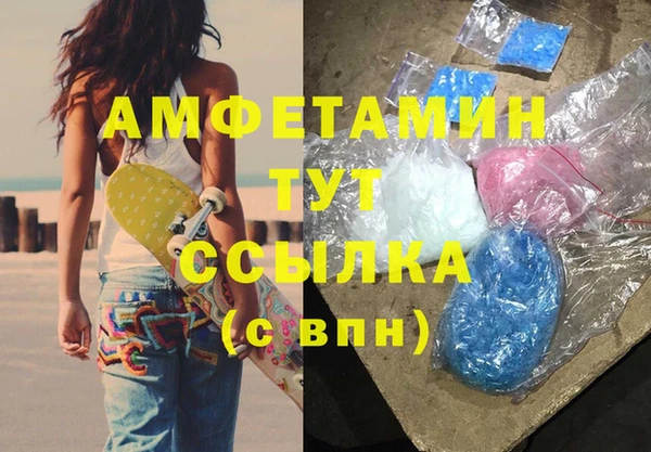 прущие грибы Богданович