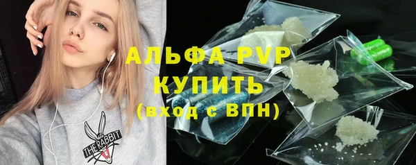 прущие грибы Богданович