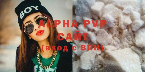 прущие грибы Богданович
