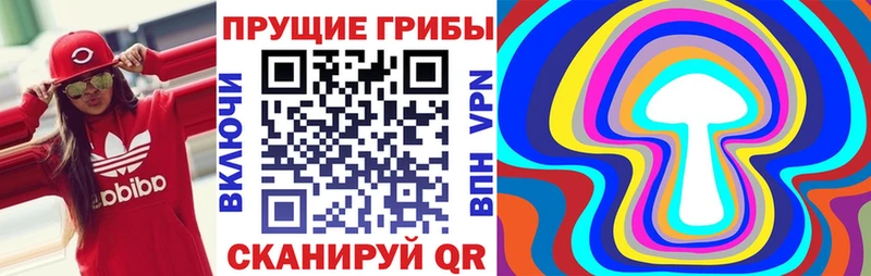 Псилоцибиновые грибы Magic Shrooms  Сланцы 